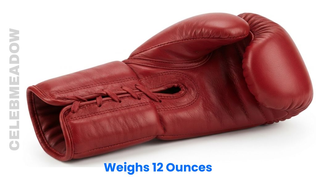 A Single 12 oz Premium Leather Boxing Glove Weigh 12 Ounces