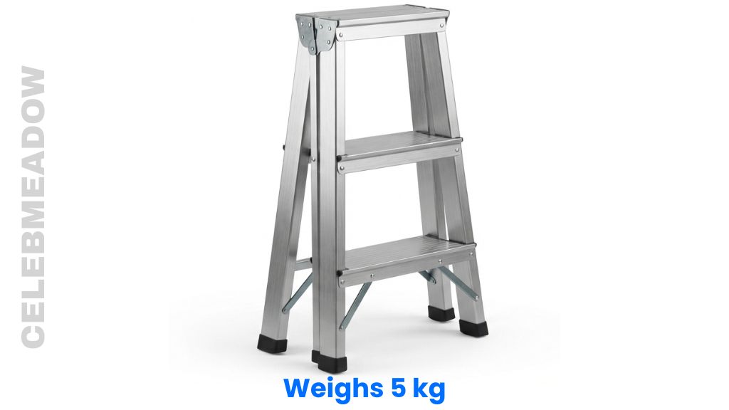 A Standard Metal 2-Step Folding Stepladder Weigh 5 kg