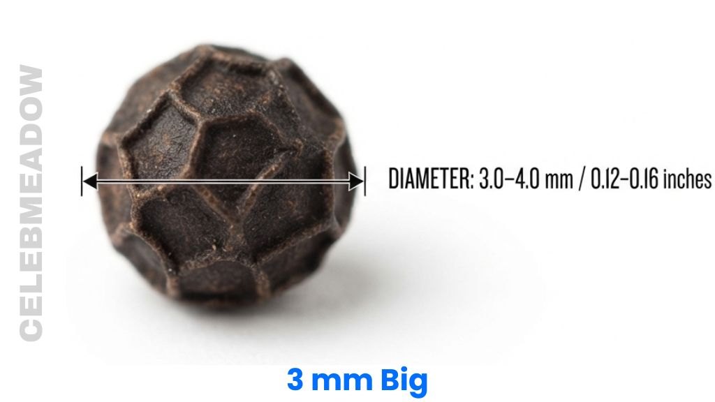 A Whole Black Peppercorn That Is 3mm Big