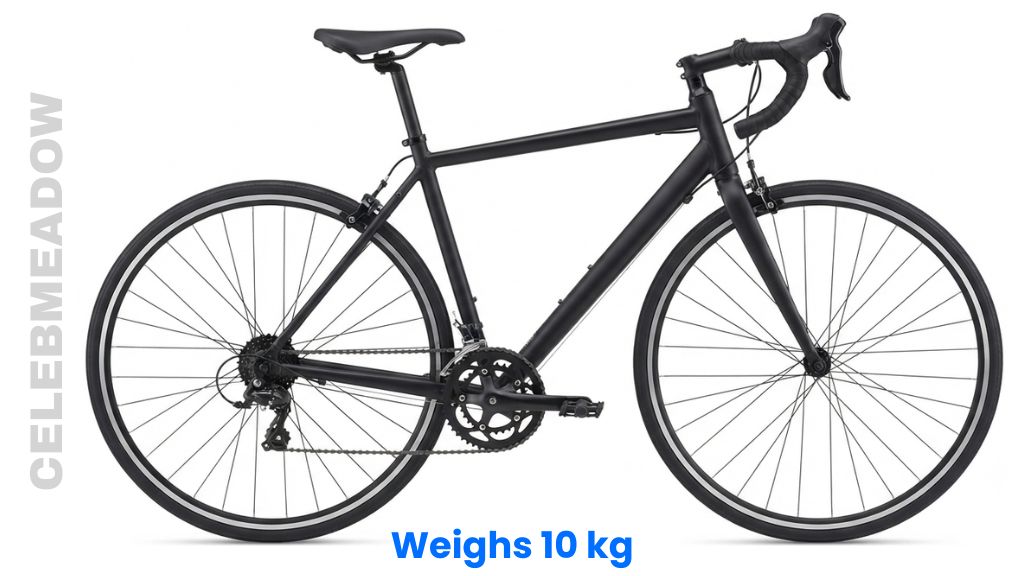 An Entry-Level Road Bicycle Weigh 10 kg