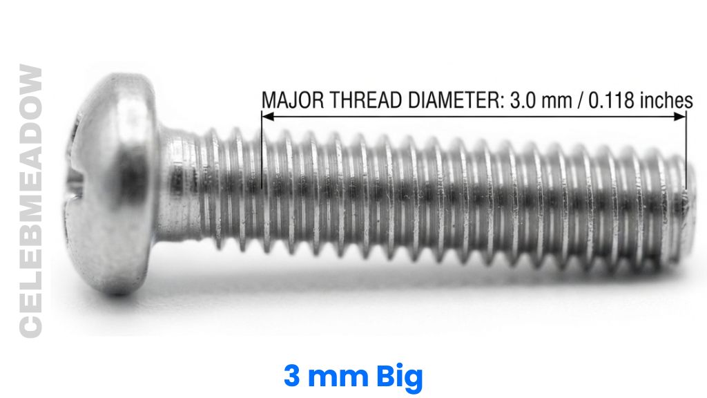 An M3 Machine Screw Thread That Is 3mm Big or Long