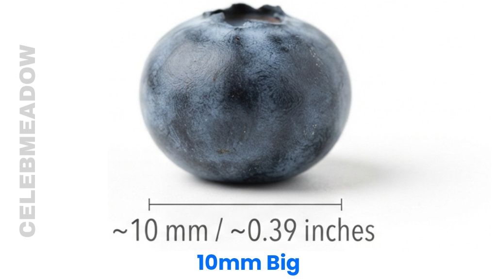 Blueberry That Is 10mm Big