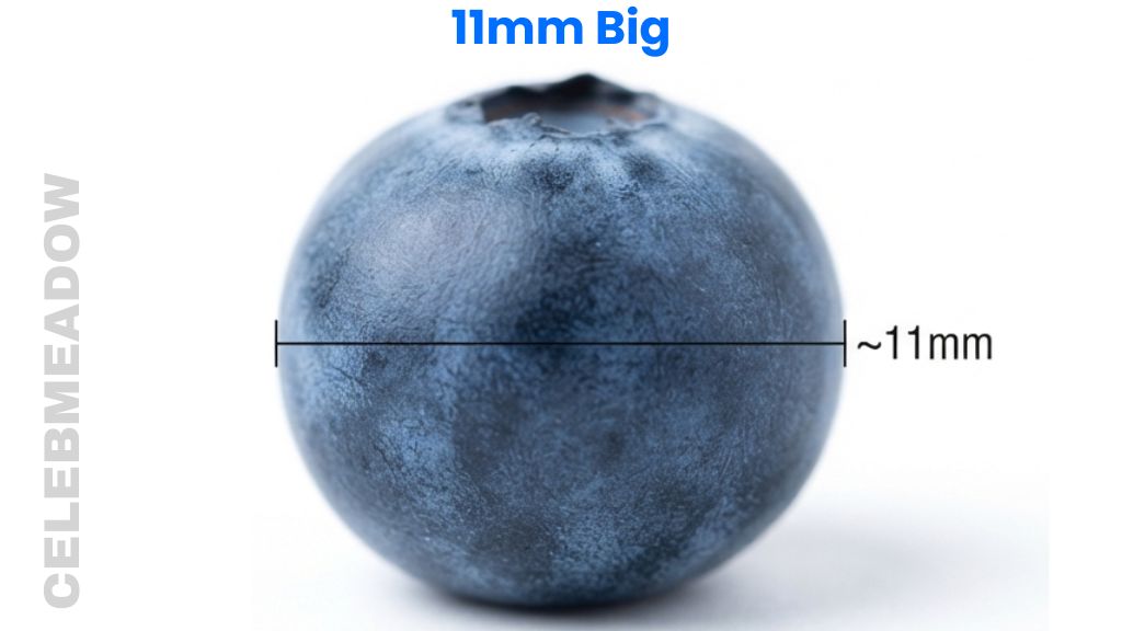 Blueberry That Is 11mm Big