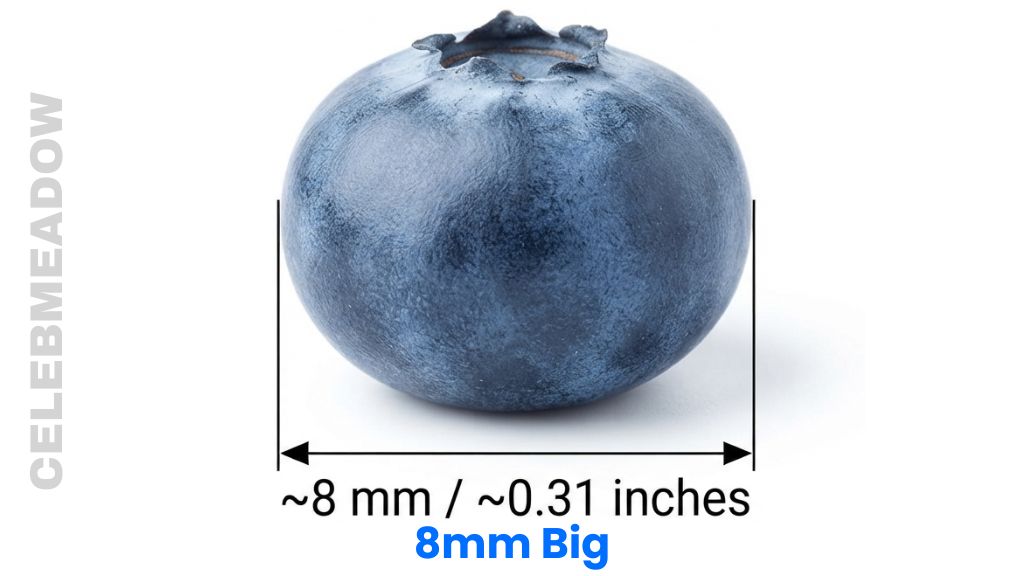 Blueberry That Is 8mm Big