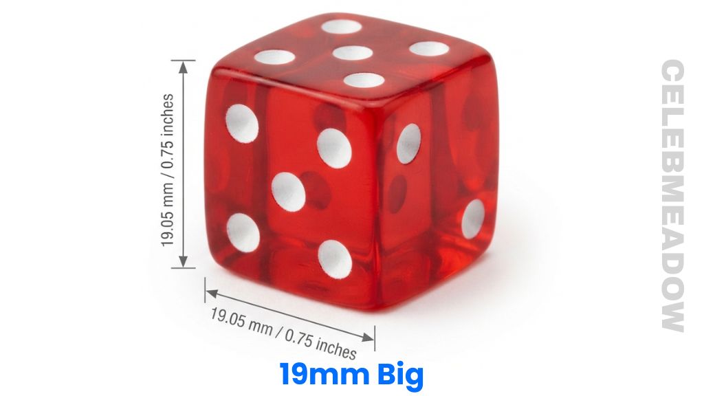 Casino-Grade Six-Sided Die That Is 19 mm Big
