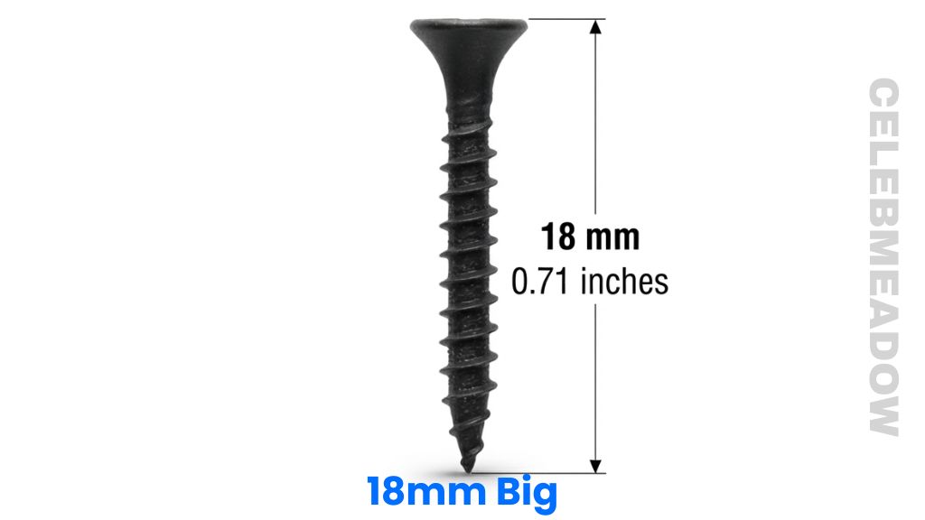 Drywall Screw That Is 18mm Big