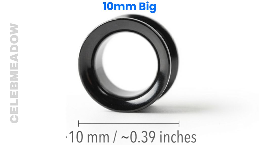 Ear Plug That Is 10mm Big