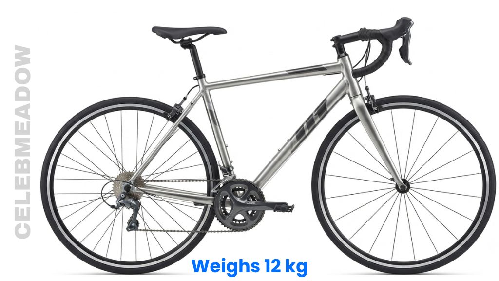 Entry-Level Aluminum Road Bicycle Weigh 12 kg