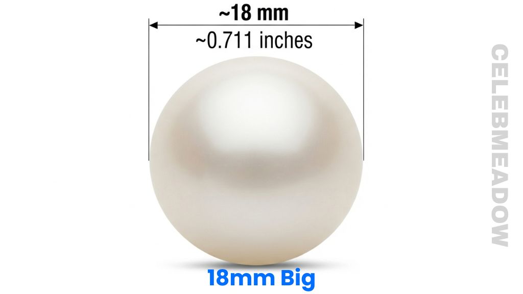 Extra Large South Sea Pearl That Is 18mm Long