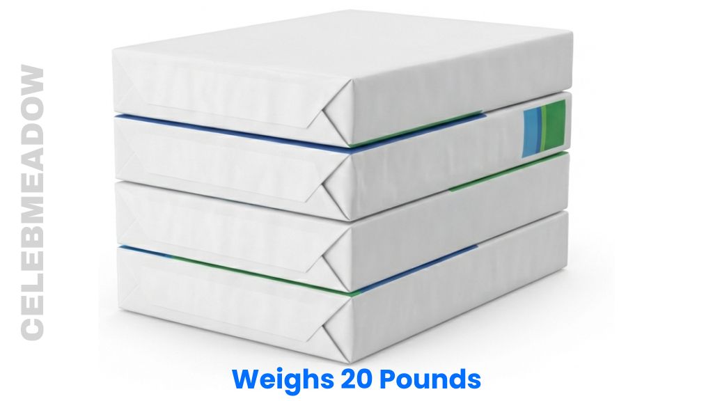 Four Reams of Letter-Size Paper Weighs 20 Pounds