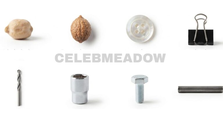 How Big is 10 mm? 16 Common Things That Are 10mm Big
