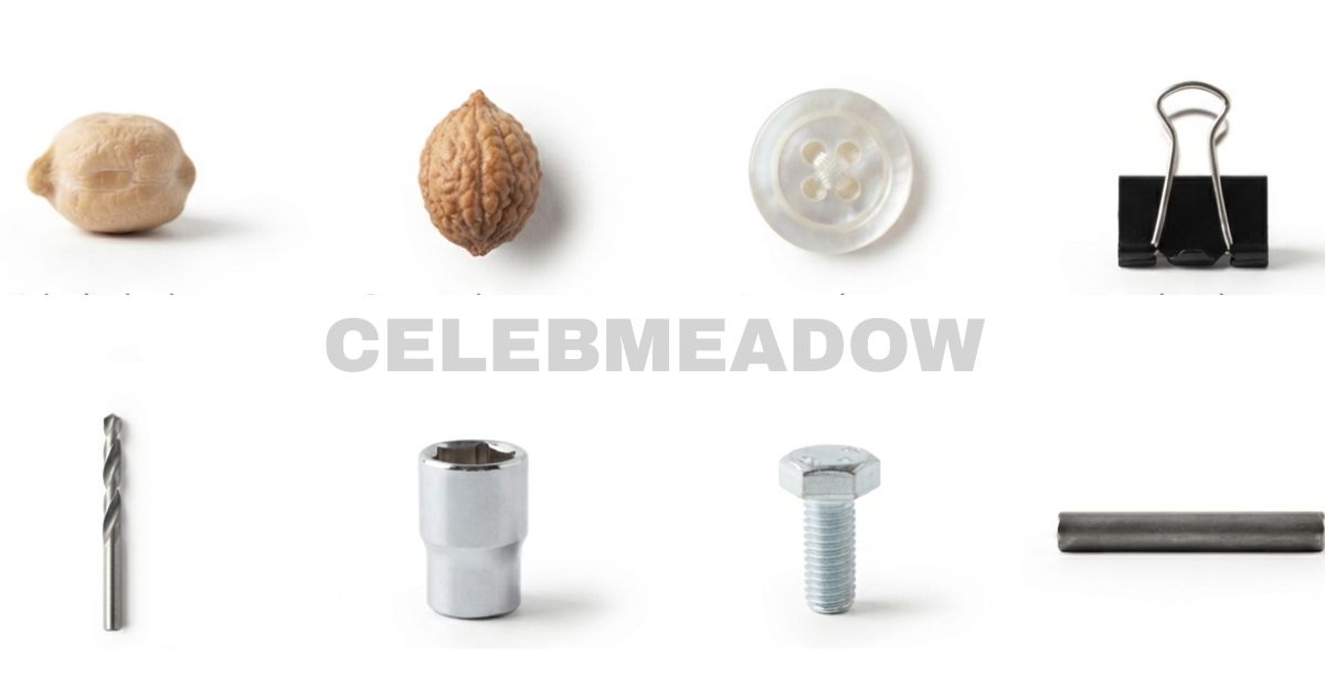 How Big is 10 mm? 16 Common Things That Are 10mm Big