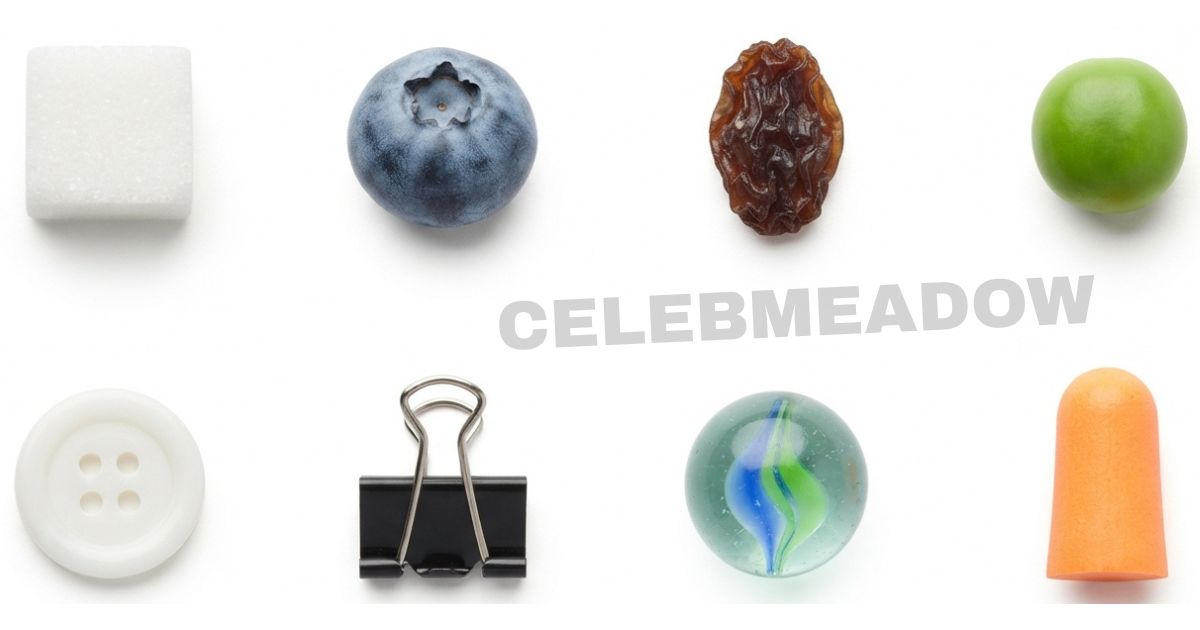 How Big is 11 mm? 16 Common Things That Are 11mm Big
