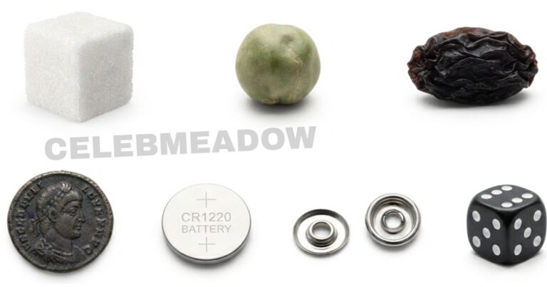 How Big is 12 mm? 18 Common Things That Are 12 mm Big