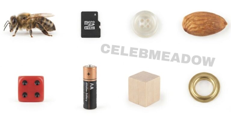 How Big is 15 mm? 12 Common Things That Are 15mm Big