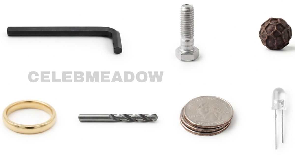 How Big is 5mm? 15 Common Things That Are 5mm Big
