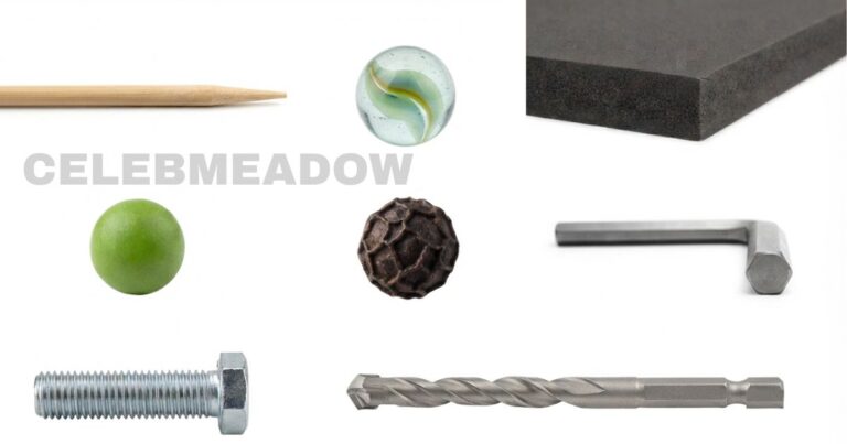 How Big is 6mm? 15 Common Things That Are 6mm Big