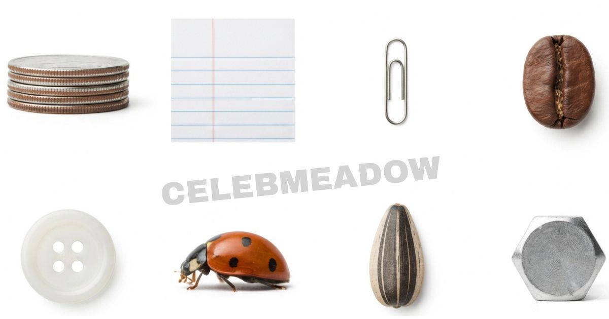 How Big is 7mm? 15 Common Things That Are 7mm Big