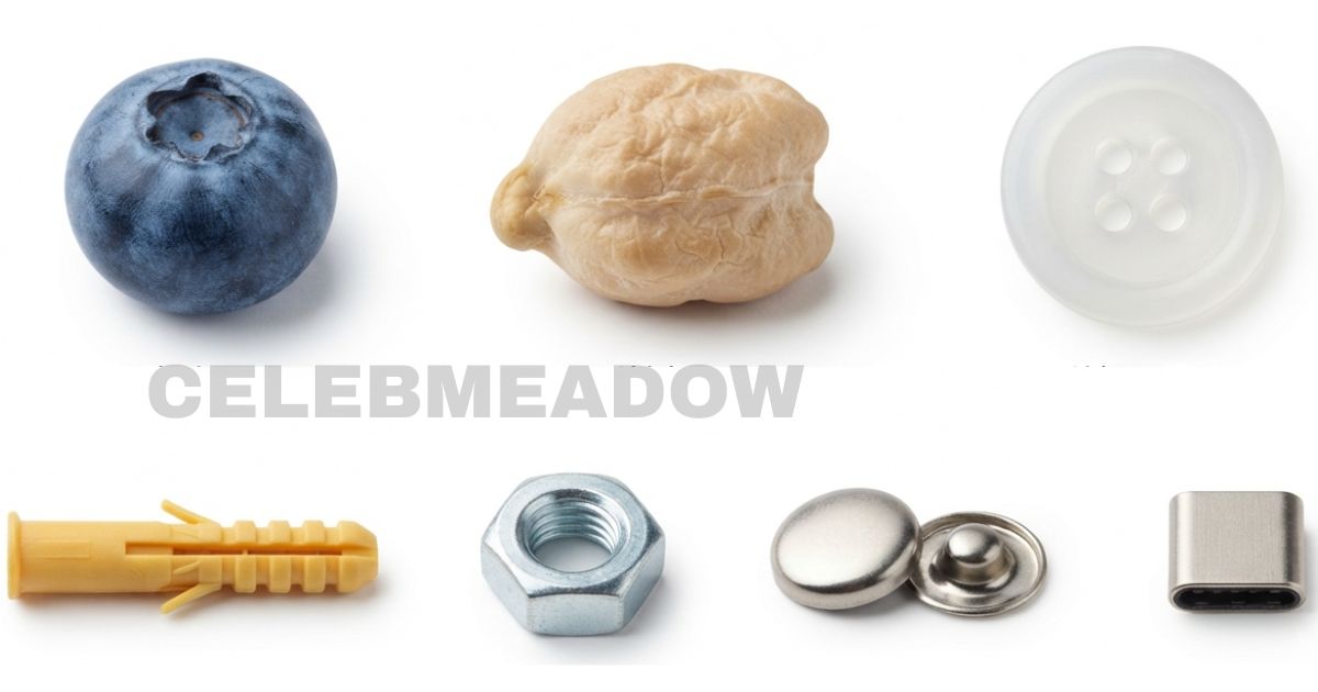 How Big is 8mm? 15 Common Things That Are 8mm Big
