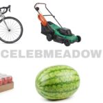 How Heavy is 12 kg? 10 Common Things That Weigh 12 kg
