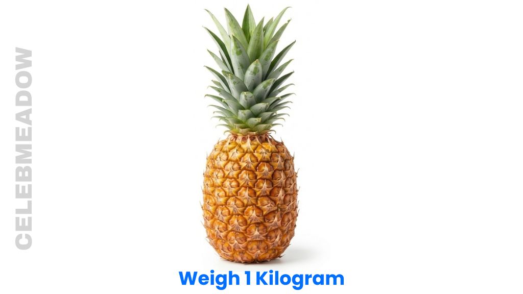 How much is 1 kg: a medium-sized pineapple weighing around 1 kilogram