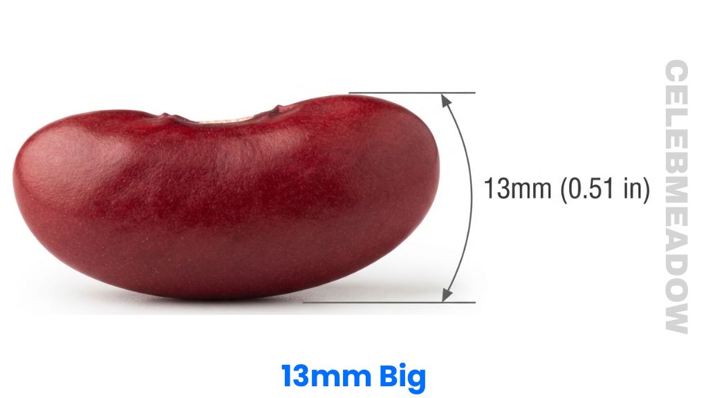 Kidney Bean That Is 13mm Big