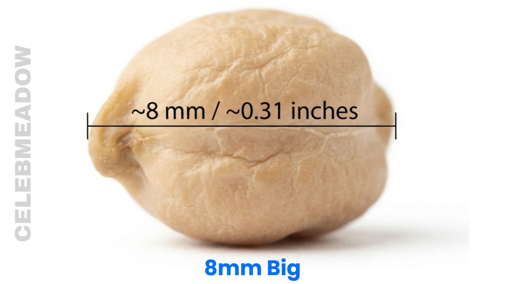 Large Chickpea That Is 8mm Big