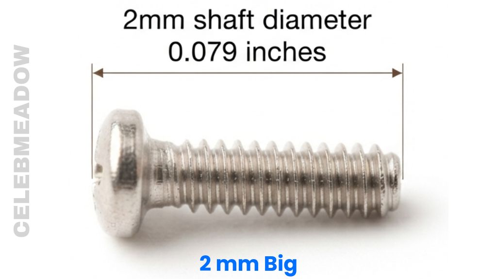 M2 Screw That Is 2 mm Big