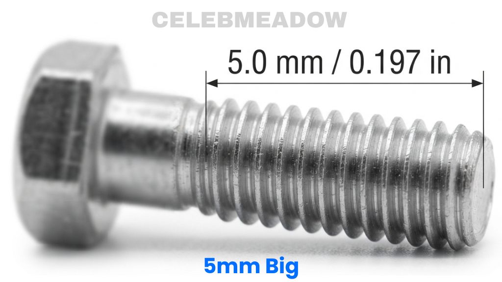 M5 Threaded Bolt Shank That Is 5mm Big
