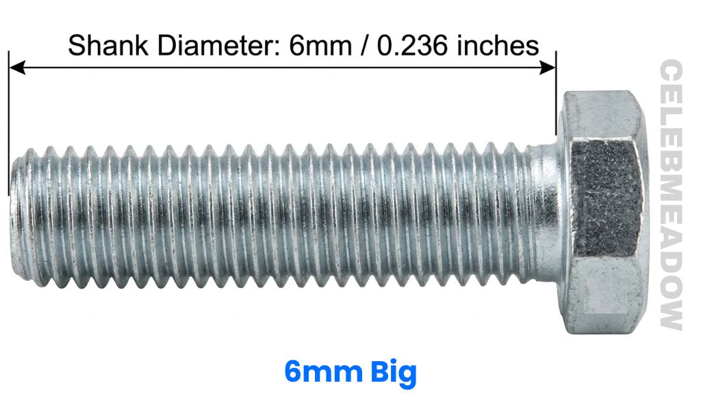 M6 Threaded Bolt Shank That Is 6mm Big or Long
