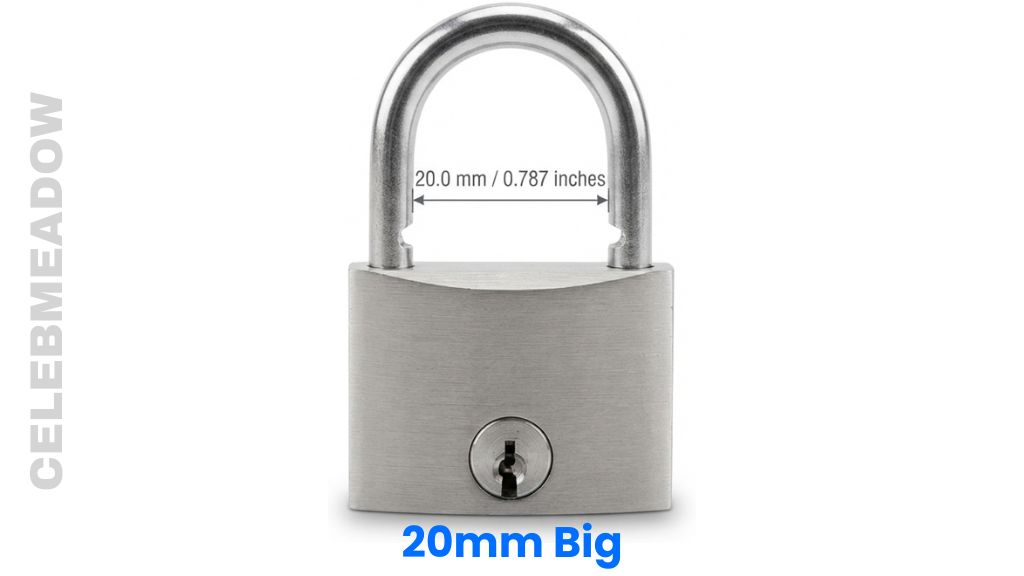 Medium Padlock Shackle Clearance That Is 20mm Big