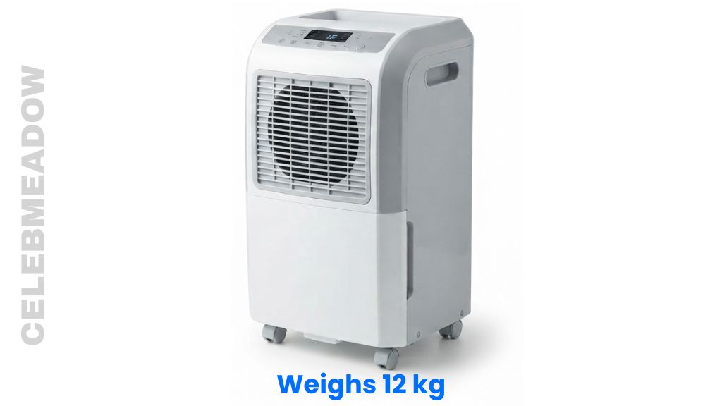 Medium-Sized Home Dehumidifier Weigh 12 kg