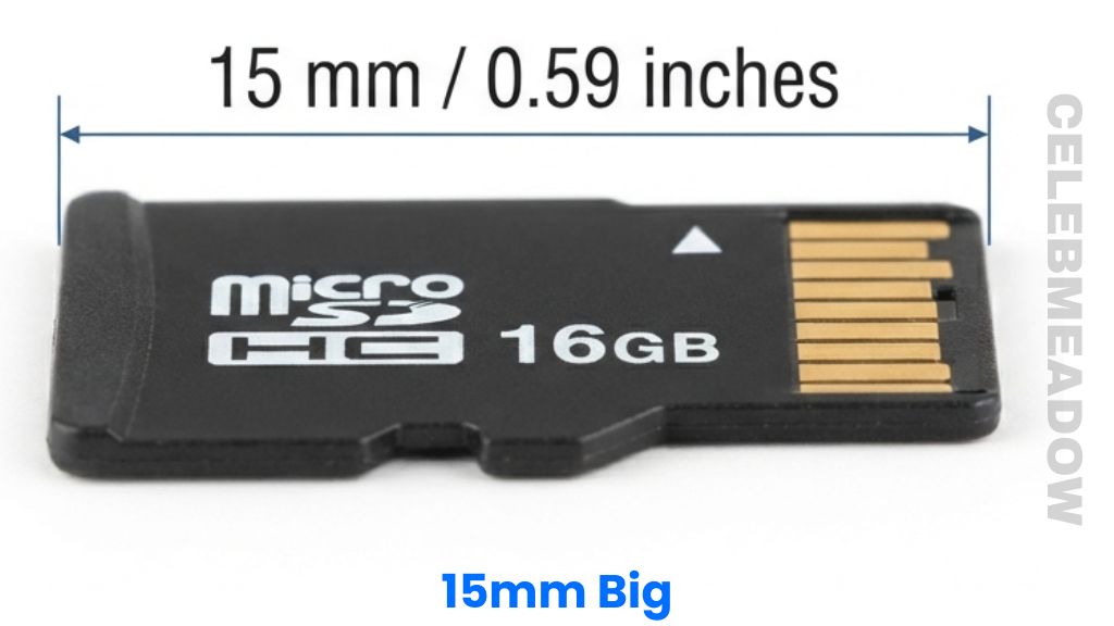 MicroSD Card That Is 15mm Big