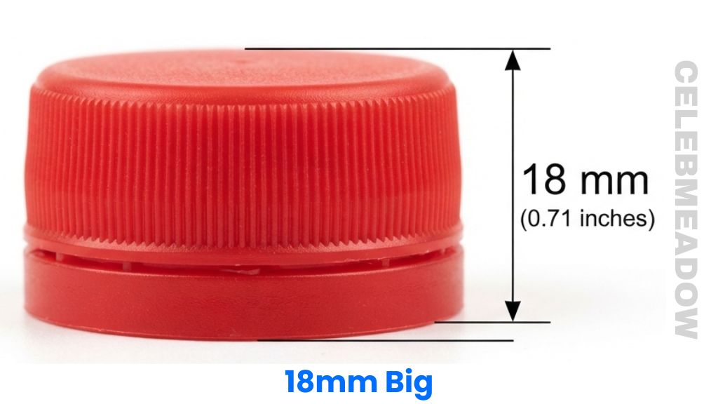 Plastic Bottle Cap That Is 18mm Big