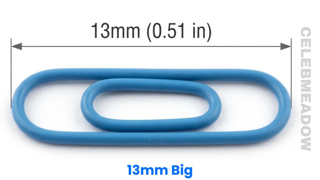 Plastic Paperclip That Is 13mm Big