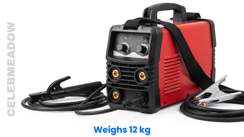 Portable Inverter Arc Welding Machine Weigh 12 kg