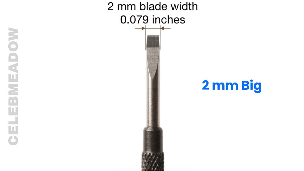 Precision Screwdriver Flat-Head Tip That Is 2 mm Big
