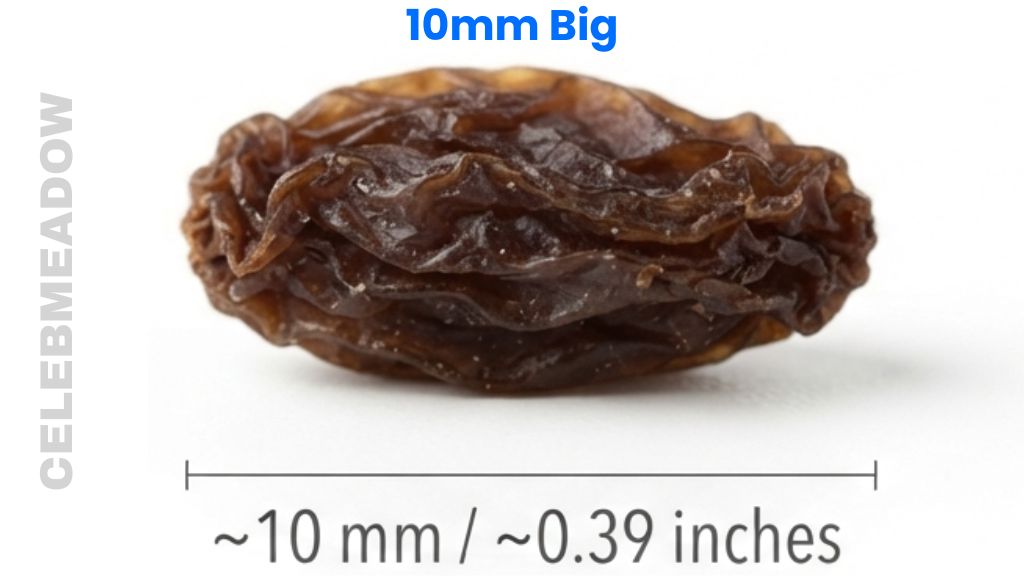 Raisin That Is 10mm Big