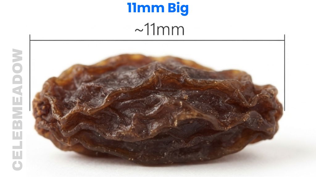 Raisin That Is 11mm Big