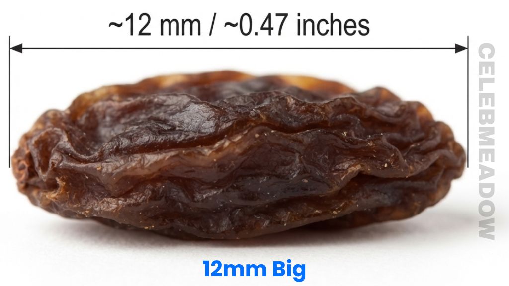 Raisin That Is 12 mm Big