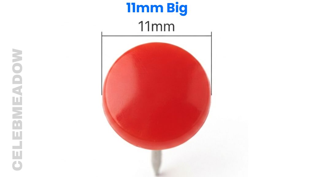 Round Push Pin Head That Is 11mm Big