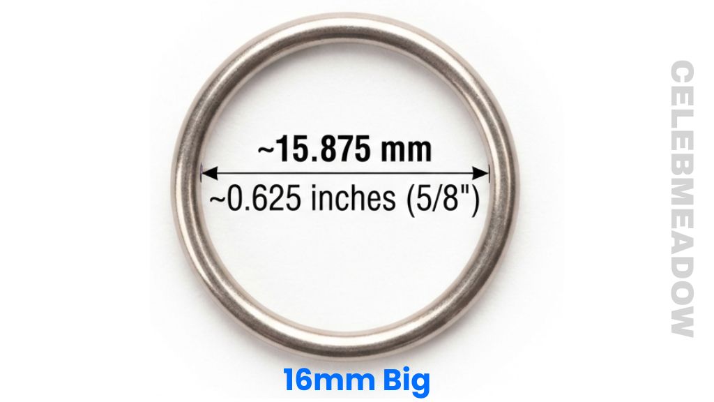 Small Loose-Leaf Binder Ring That Is 16mm Big