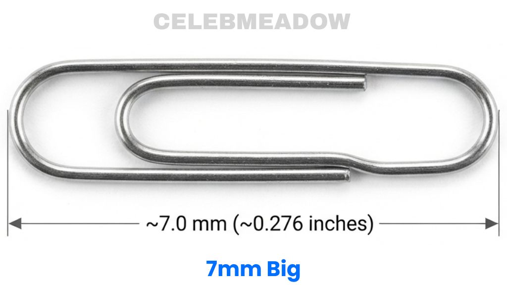 Small No. 3 Metal Paperclip That Is 7mm Big