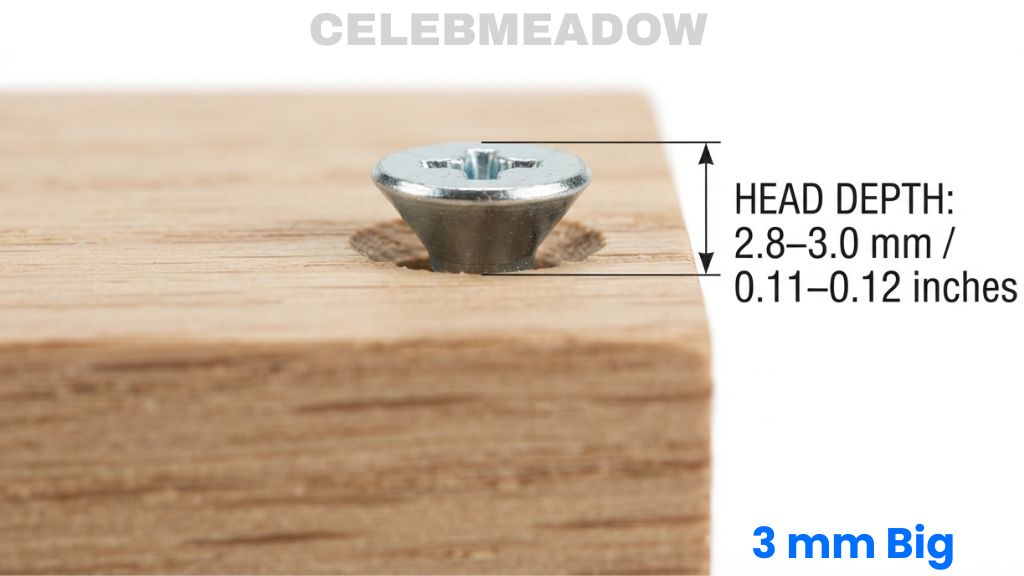 Standard #10 Wood Screw Flat Head Height That Is 3mm Big