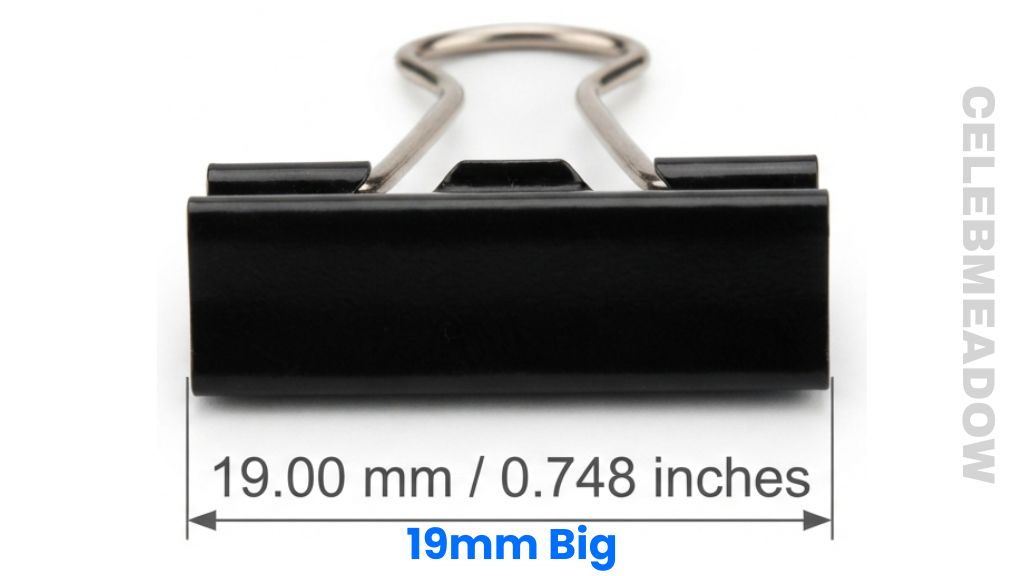 Standard 19 mm Binder Clip That Is 19 mm Big or Long