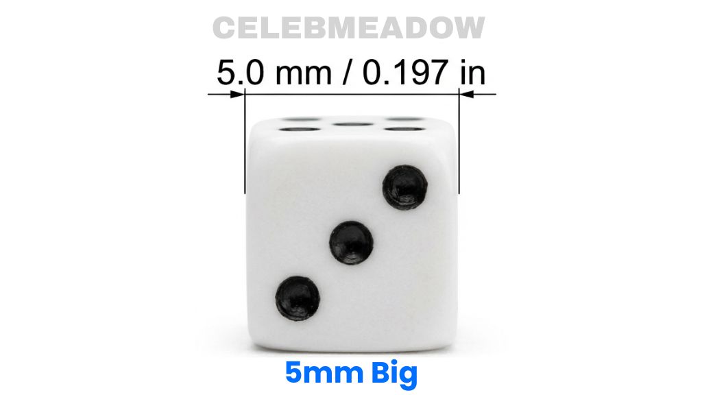 Standard Mini Dice That Is 5mm Big