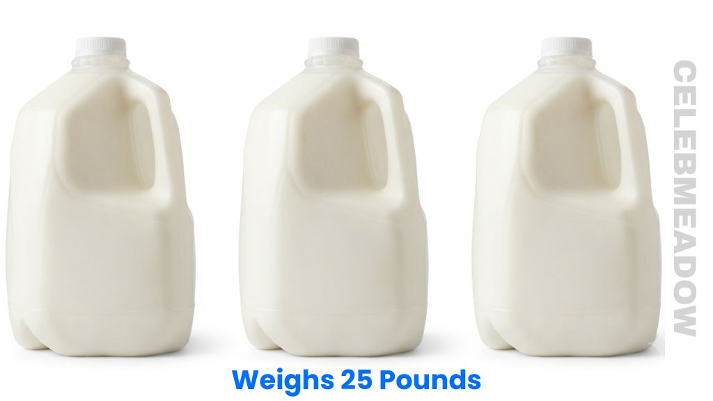 Three Gallons of Milk Weigh 25 Pounds