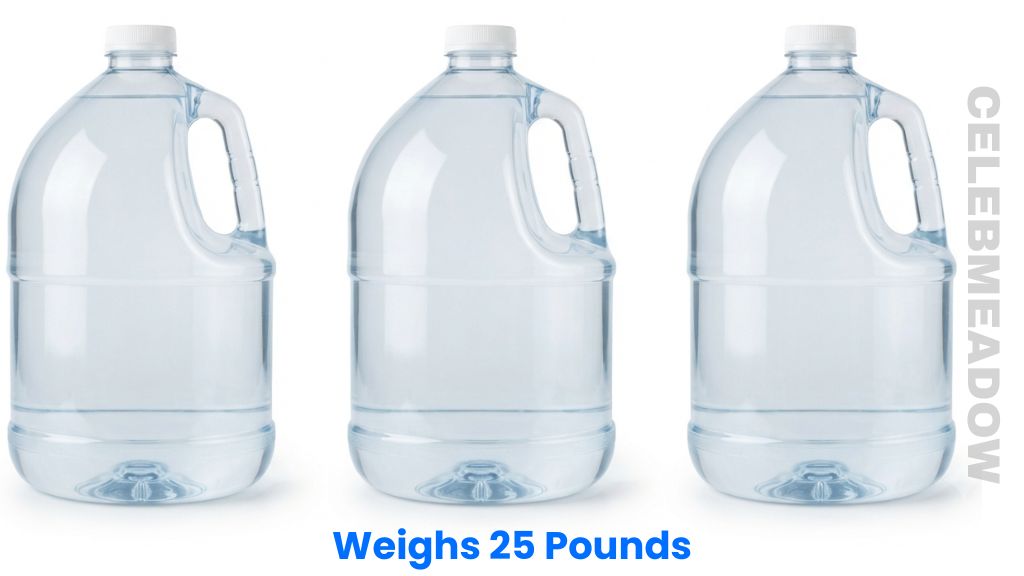 Three Gallons of Water Weighs 25 Pounds