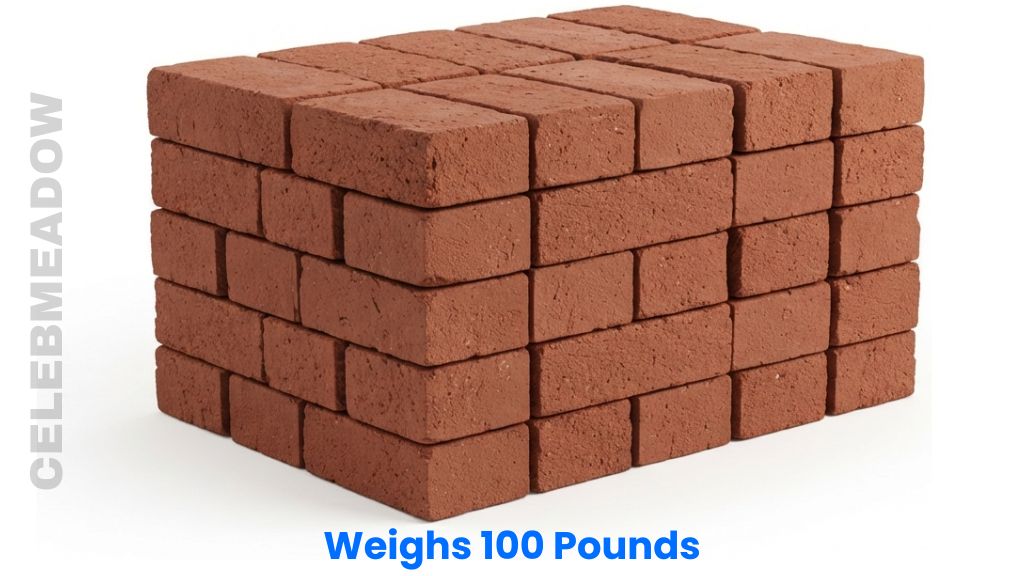 Twenty-Five Red Clay Engineering Bricks Weighs 100 Pounds