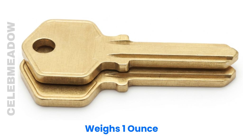 Two Brass Padlock Key Blanks Weighs 1 Ounce
